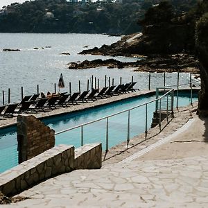Hotel Le Provencal Renove En 2025 - Bord De Mer